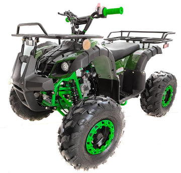 Tao Motor D125 110cc Youth ATV | 2025 Model mississippipowersports